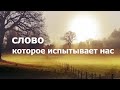 СЛОВО КОТОРОЕ ИСПЫТЫВАЕТ НАС  - Вячеслав Бойнецкий