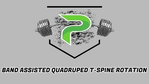 Band Assisted Quadruped T-Spine Rotation