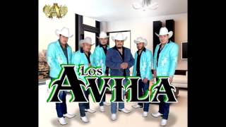 Video thumbnail of "Arriba Pichataro Huapango Los Avila 2017"