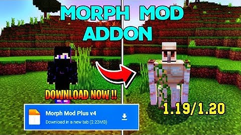 Morph Mod for Minecraft Pe 🤩  [100% WORKING] | Morph Mod 1.19/1.20