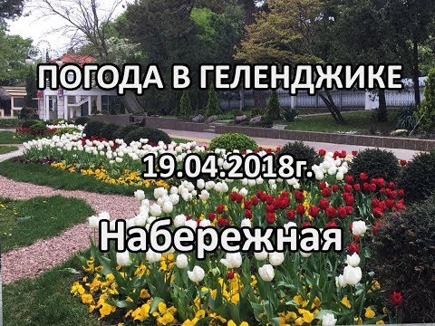 Геленджик. Погода 19