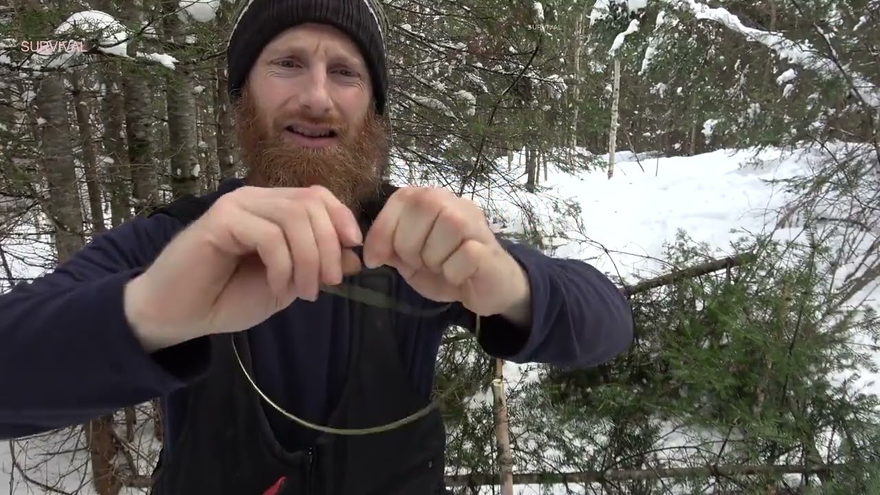 Primitive Rabbit Trap - Pen Snaring Survival Skill only natural materials_R