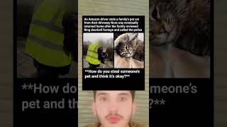 Amazon Driver Caught Stealing a Family’s Cat on Ring Camera… Then THIS Happened 😳🐱