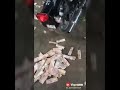 حالات ابو نجيب الله لايوفقك الهي