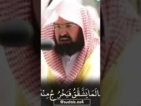 وإن من الحجارة لما يتفجر منه الانهار