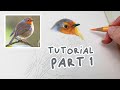 How to Draw a Realistic Robin | Coloured Pencil Tutorial Part 1
