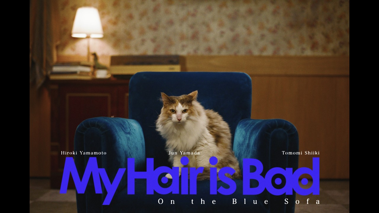 My Hair is Bad – 青いソファの上で