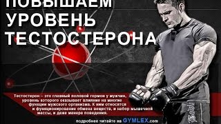 Повышение уровня тестостерона Повышение уровня тестостерона