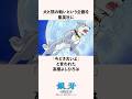 犬と熊の戦いという企画を集英社に「今どき古いよ」と言われた高橋よしひろの雑学 #銀河 #流れ星銀 #漫画家