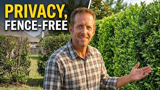 9 Plants Ill Always Use For Privacy No Fence Needed