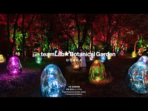 teamLab Botanical Garden Osaka Highlight Video / チームラボ ボタニカルガーデン 大阪 ハイライト動画