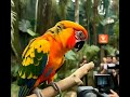Parrot ne chor ko chori karte dekh liya #trending #parrot #viral