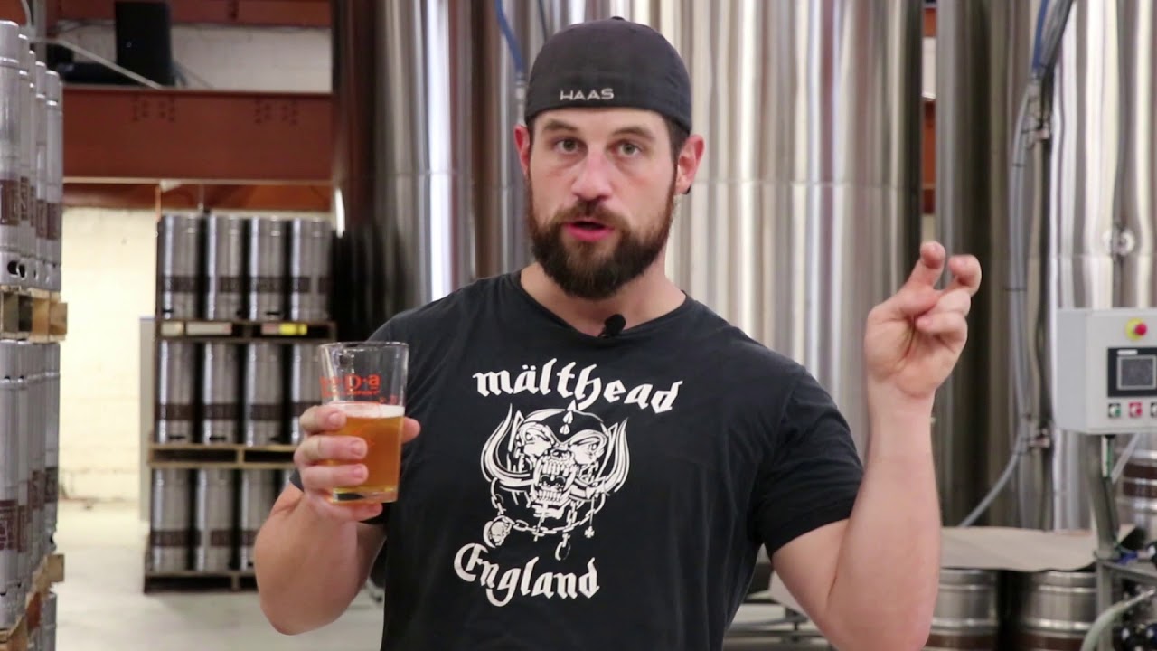 NoDa Brewing Co. - Berliner Weisse - NoDable Release July 31st 2018