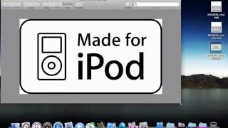 Mac OS X Stacks Customization