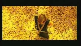 Ahmad Dhani Bidadari Di Kesunyian