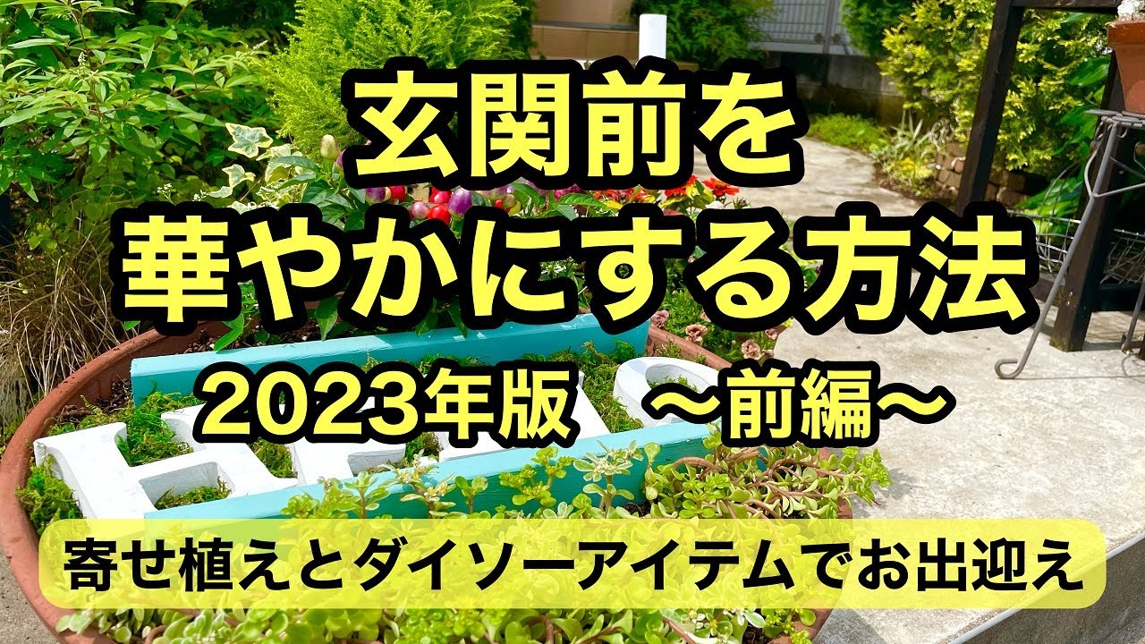 【ガーデニングを楽しもう！】個性の異なる３種の寄せ植えで玄関前を華やかに！ダイソーアイテムも大活躍。#gardening #ガーデニング #flowers #garden