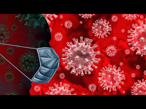 Видео: Количественная оценка риска локальной передачи вируса Зика в сопредельных США в период эпидемии ЗИКВ в 2015–2016 гг