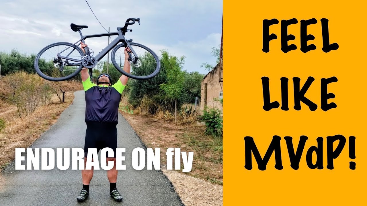 Полный обзор Canyon Endurace ONfly — всё, что я знаю после 2 месяцев