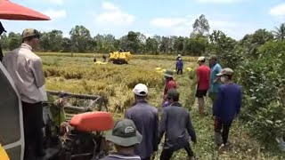 Săn Bắt Chuột Đội Hình Này Con Nào Chạy Thoát | Hunting| - TT1921