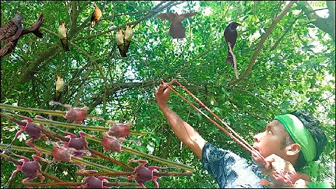 Hunting slingshot #82 - Shoot pigeons and swallows, cook for food || Thai S
