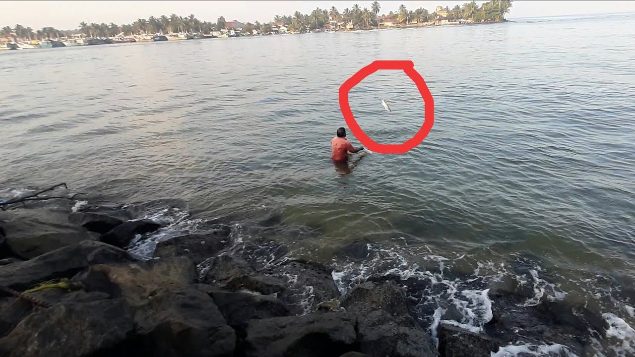 Net fishing 7 Barracuda jumps tearing the net. YouTube