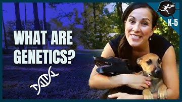Genetics and Heredity Traits. K-5 Science Music Videos by Untamed Science