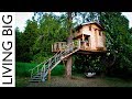 Life In The Trees With The Treehouse Masters Life In The Trees With The Treehouse Masters