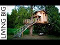 Vie dans les arbres avec les treehouse masters