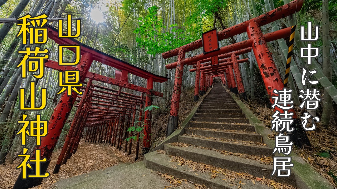 Nostalgic Exploration] The Endless Torii Gates Hidden in the
