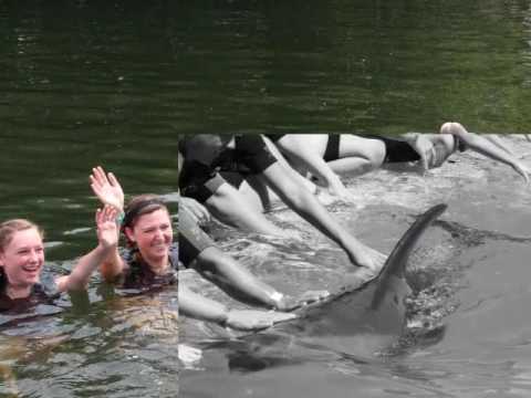Dolphin bay shallow water interaction with Lama Tours – Lamadubai.com