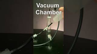 Best DIY Vacuum Chamber for Marshmallows (Maybe)