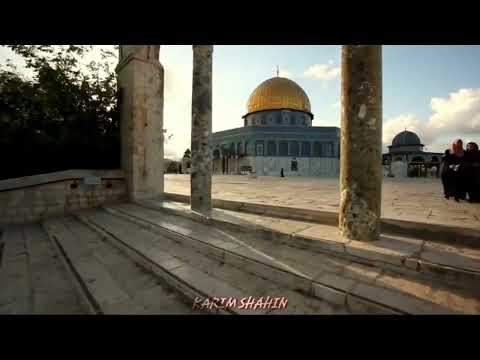 سوف نبقى هنا كي يزول الألم سوف نحيا هنا سوف نحمي الحرم 