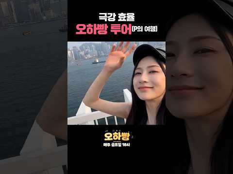 효율좌 오하영 thumbnail