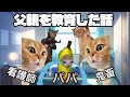 小児科で子どもの父親を教育した話
