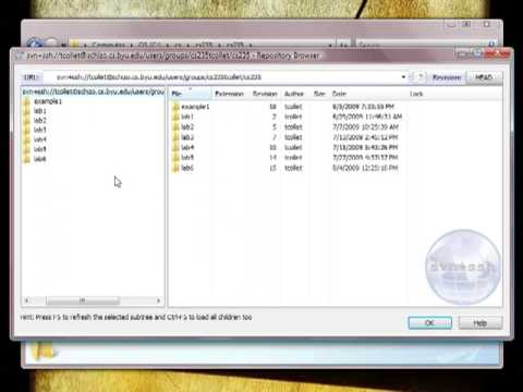 TortoiseSVN (Subversion) Tutorial