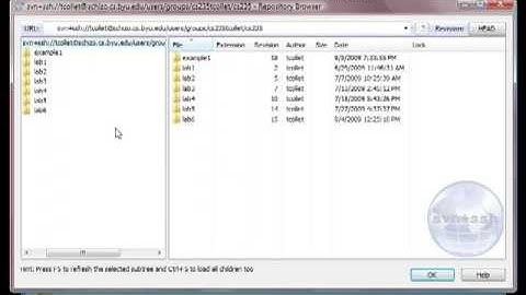 TortoiseSVN (Subversion) Tutorial