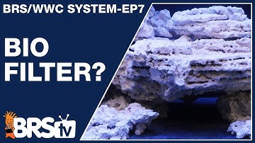 Ep7: Reef tank biofilter for a stable, long term reef aquarium - The BRS/WWC System