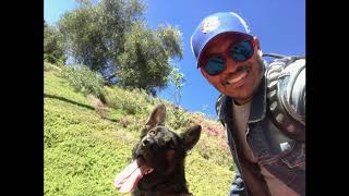 Help Connect Service Dogs with Veterans - Dan Casara