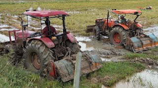 Tractor Kubouta M6040SU VS Tractor Yanmar EF725T cultivating land | Tractor prepare land filed