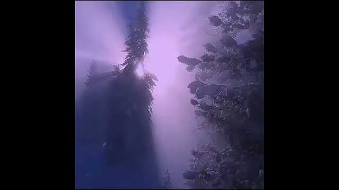 قرآن كريم بصوت هزاع البلوشي 🌸⚡ أجمل حالات واتس اب دينية مقاطع دينية قصيرة مقاطع انستقرام دينية