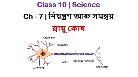 Class 10 | Science | Ch - 7 | নিয়ন্ত্ৰণ আৰু সমন্বয় | Control and coordination | Part 1 |