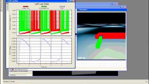 AnimatLab Belly Flopper Quadruped Part 2