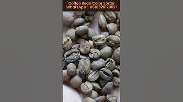 Coffee Sorter Coffee Color Sorter Machine#coffee #coffeebean #sortingsystem  WhatsApp:8618326129021