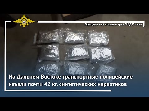 Ирина Волк: На Дальнем Востоке транспортные полицейские изъяли почти 42 кг. синтетических наркотиков