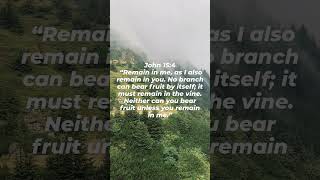 John 15:4 | Daily Verse |  Commentary in description #verseaday