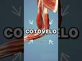 Cure EPICONDILITE em 5 min ⏳🙌🏼😱 #cotovelo #dor #exercise