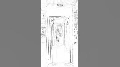 Full Body Sanitizing machine