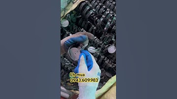 Cạm 9 đánh chuột đồng chuột thịt siêu hiệu quả