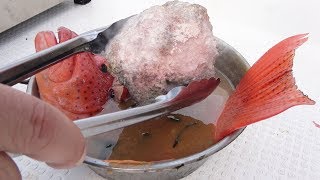 高温に熱した焼石を高級魚汁にぶち込む！