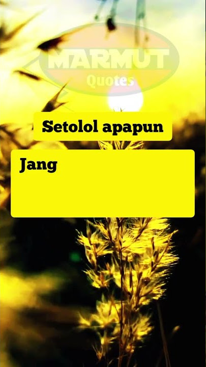 Cewek friendly❗kata kata sindiran #cewek #friendly #jatuhhati